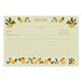 Orange Orchard