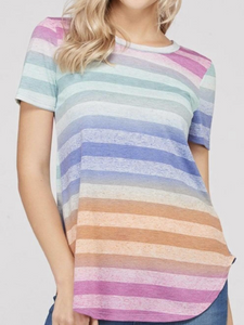 Plus Size Navy/Purple Multi Striped Round Neck, Short Sleeve Top